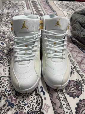 OVO JORDAN RETRO 12